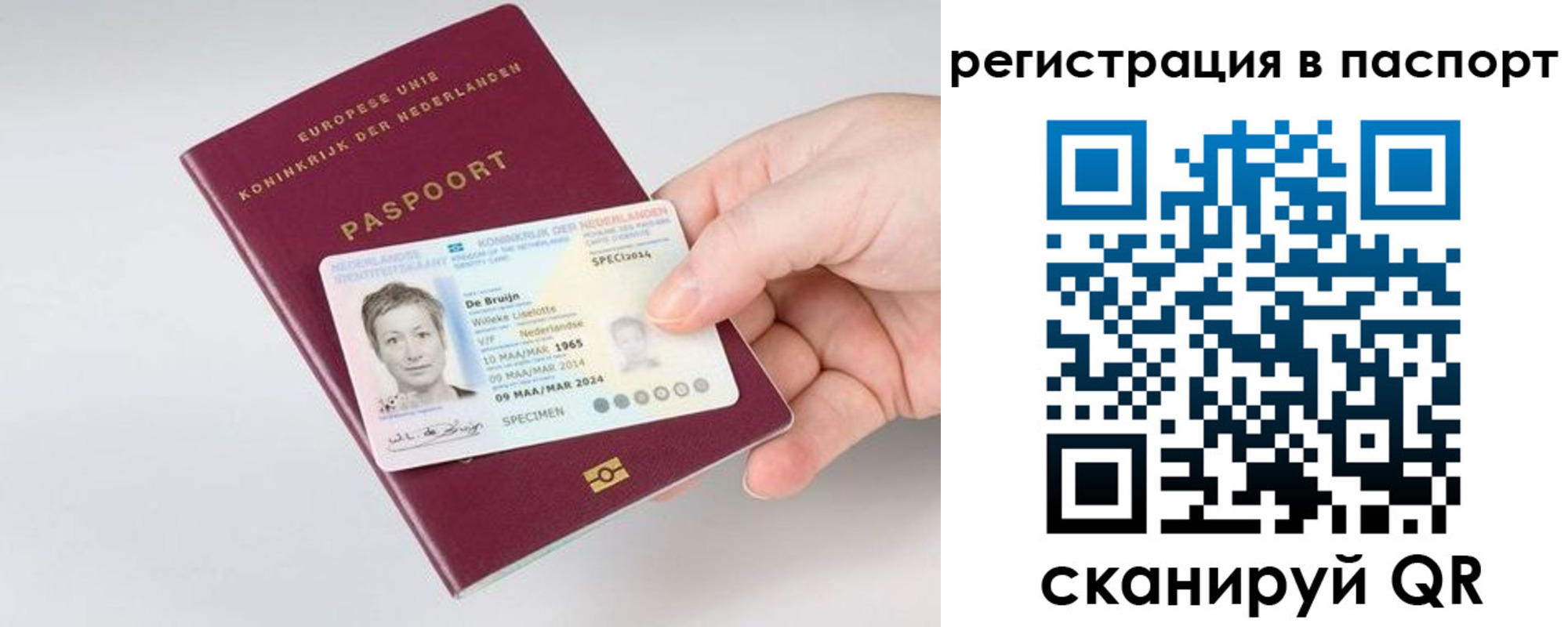 прописка от собственника в Михайловске